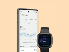 Fitbit ha ridisegnato le pagine delle Metriche della Salute nella sua app. (Fonte: Fitbit)